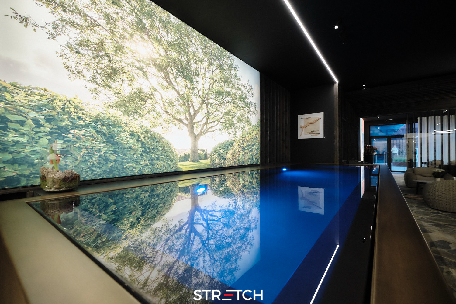 stretch ceiling indoor swimming pool